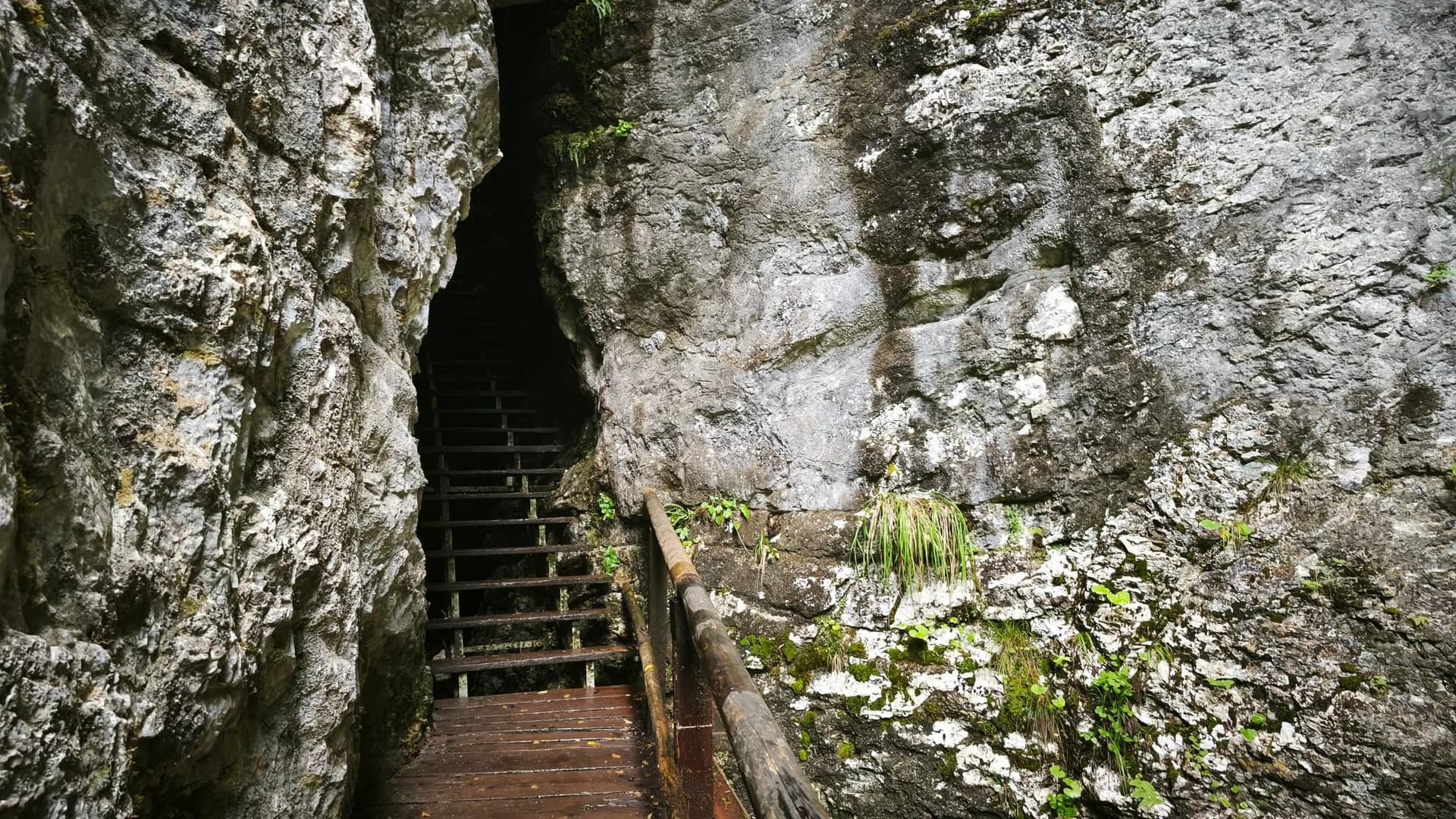Wooden staircase leading into a dark cave passage between rugged limestone rock walls.
