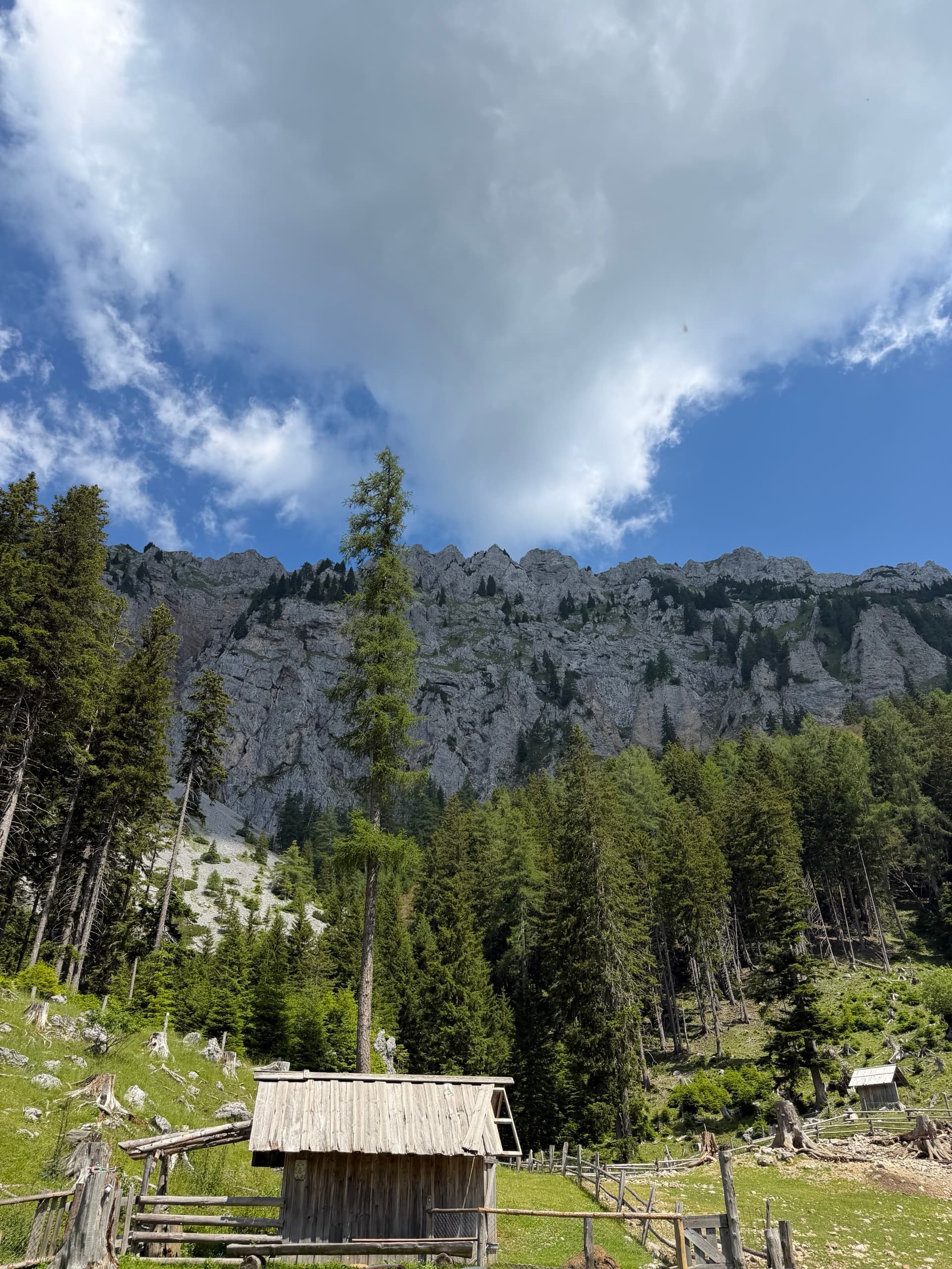 Wooden herder's hut below rocky limestone cliffs and pine forest under a cloudy sky