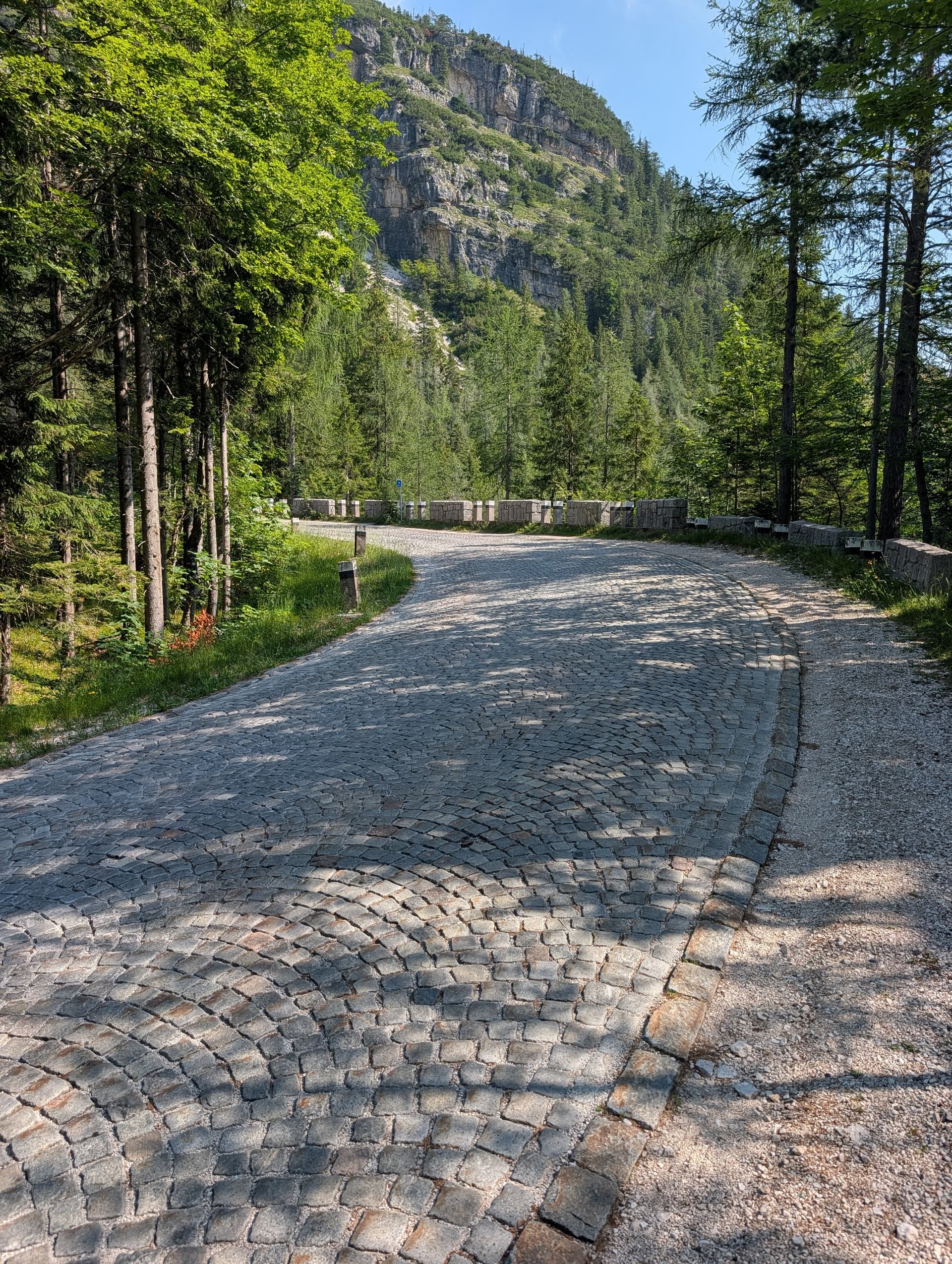 Cobbled hairpin curve on a mountain road through a dense forest