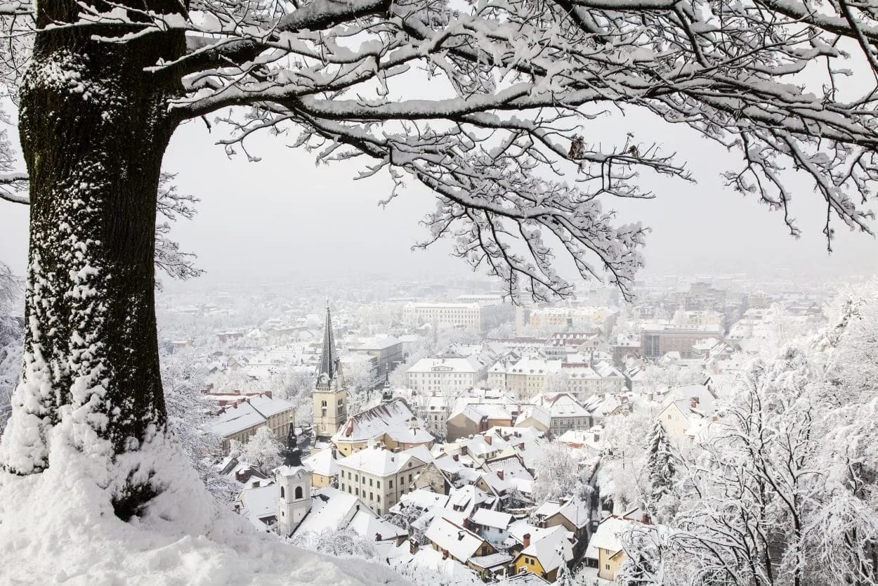 Ljubljana city rooftops covered in snow viewed from above in winter, framed by tree branches.