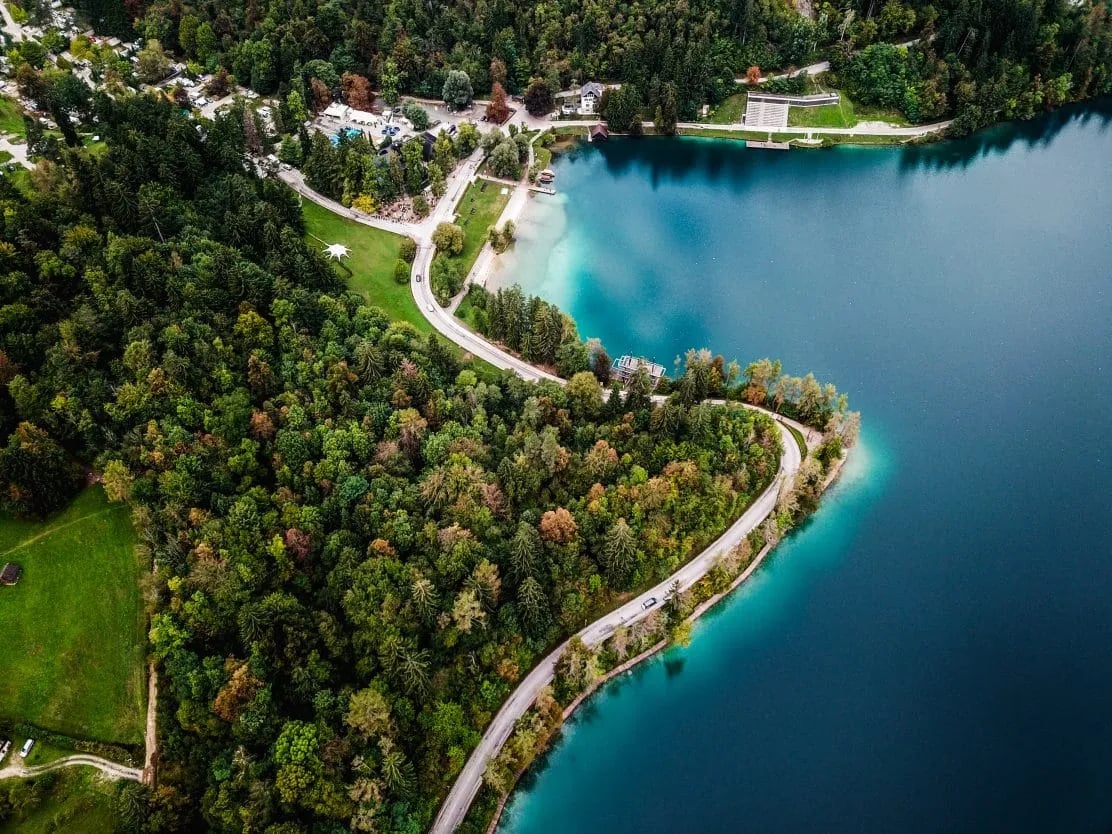 Aerial view of winding road along deep blue lake surrounded by dense green forest, likely Lake Bled.