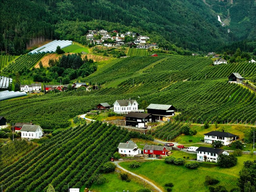 Région viticole de Styrie