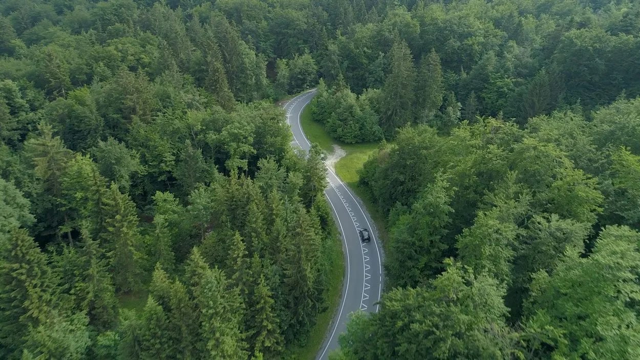 Winding road through dense green forest with a car driving on the curve.