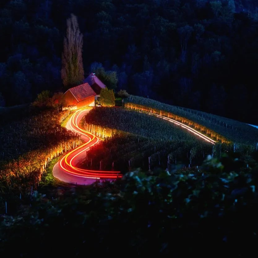 Winding road with light trails through Slovenian vineyards shaped like a heart at night.