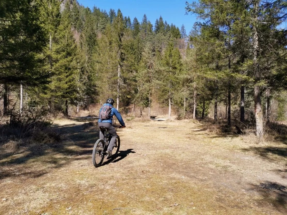 Cycling in forest