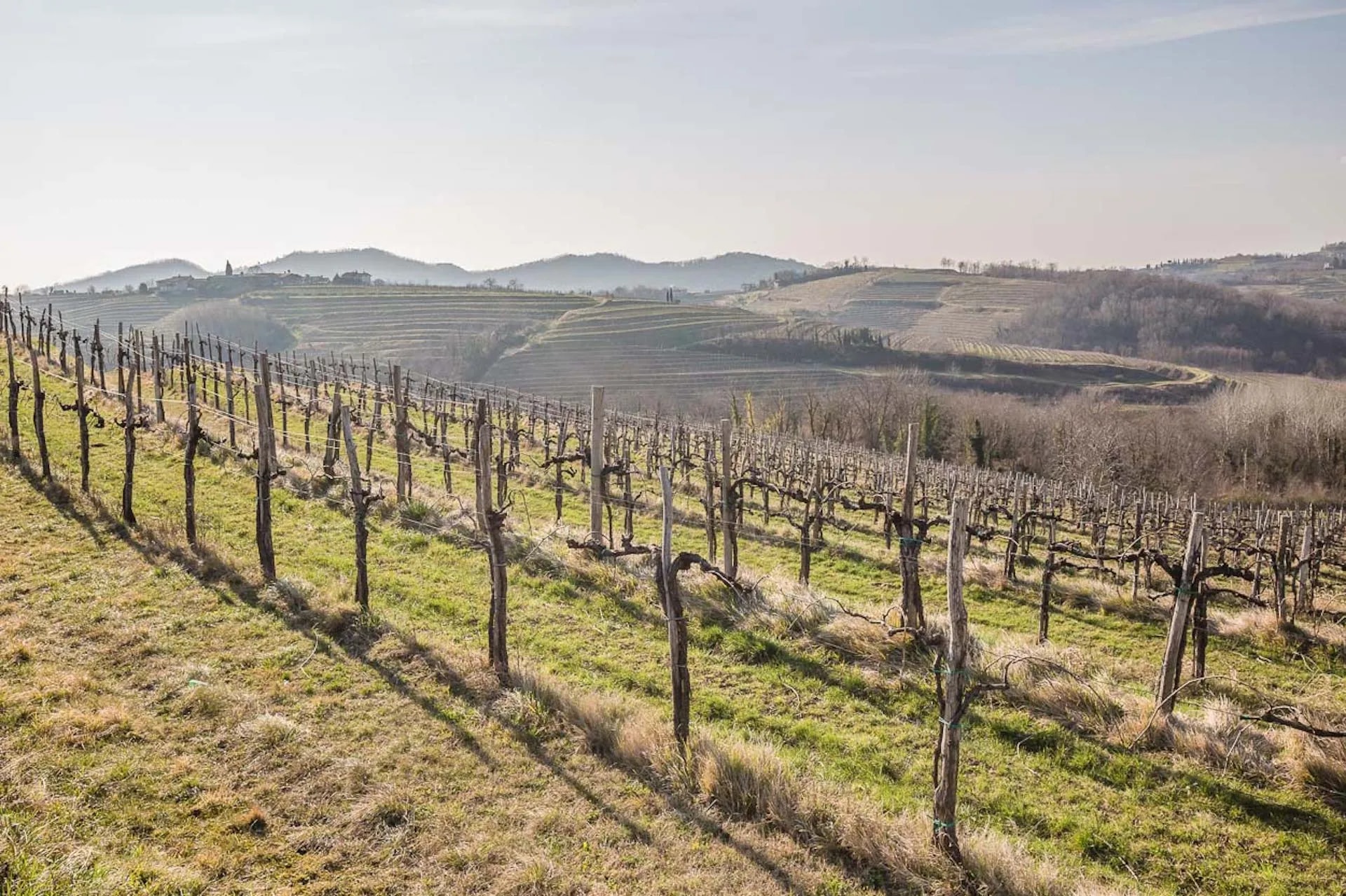 Countryside in goriska brda