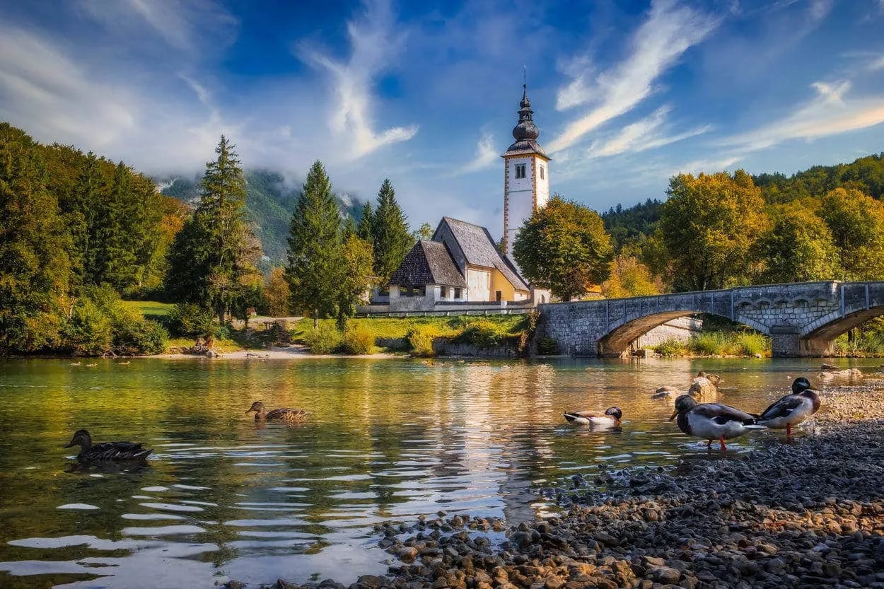 Ducks on rocky shore of Lake Bohinj with church and stone bridge, Slovenia