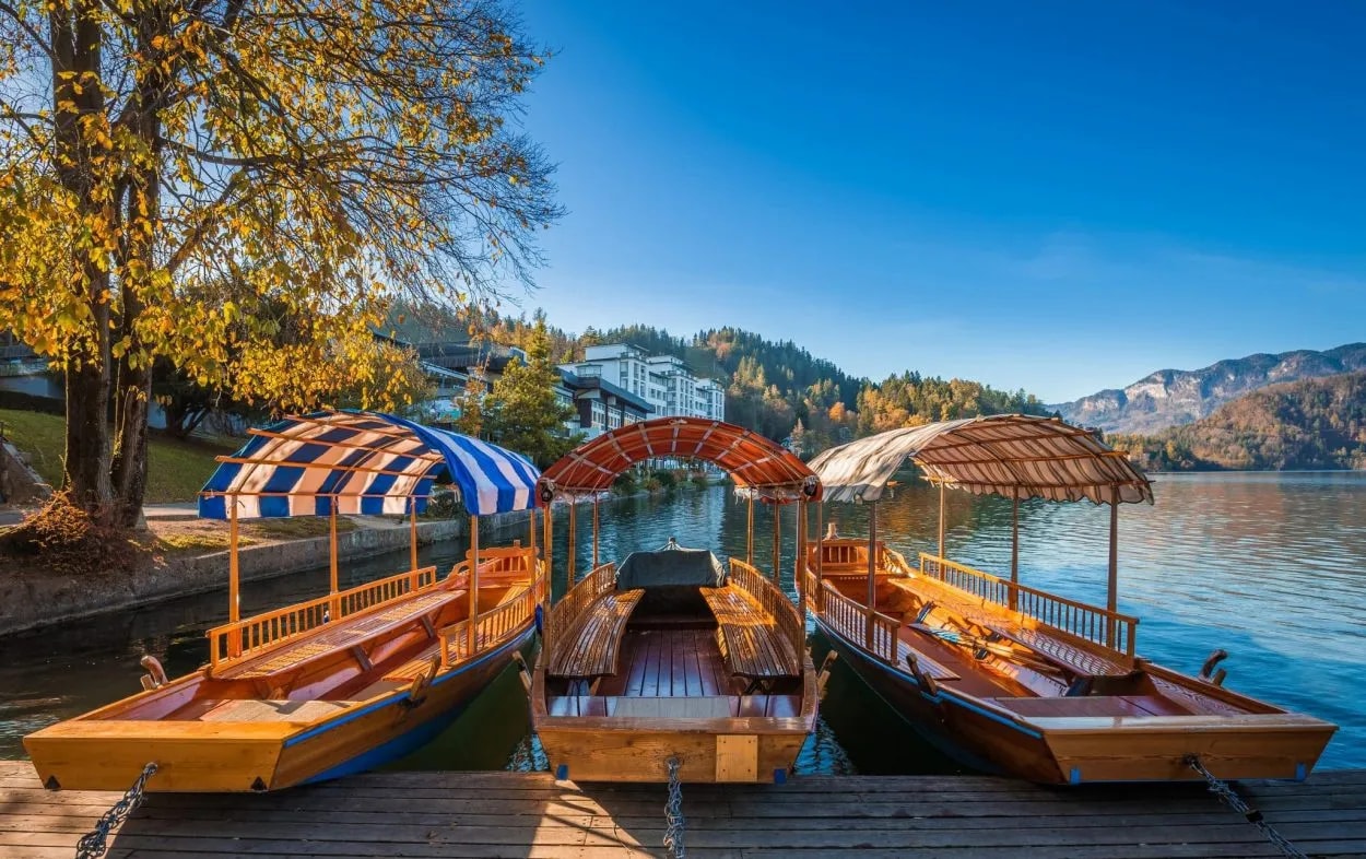 Three wooden Pletna boats docked on a wooden pier at Lake Bled with autumn foliage.