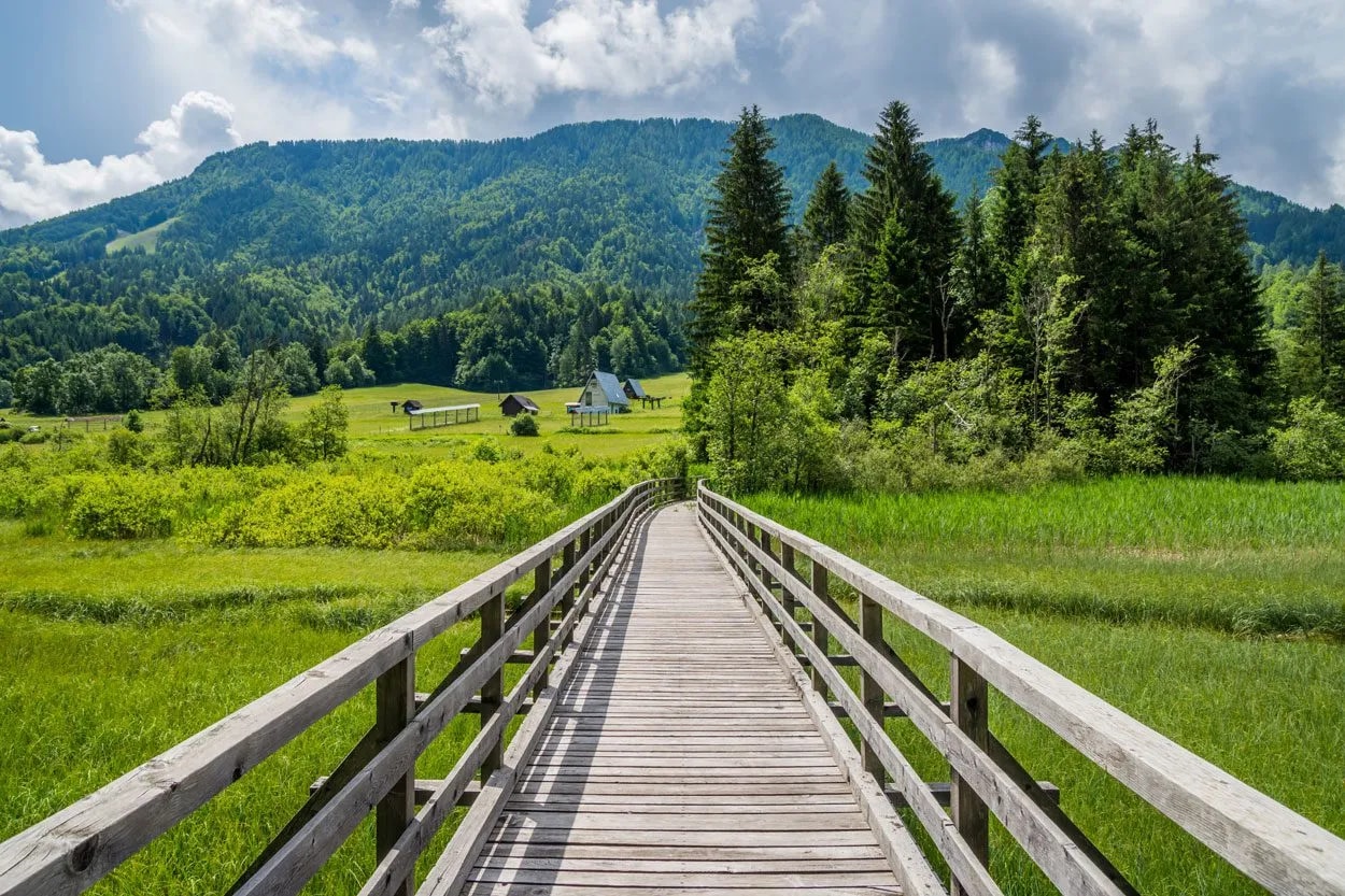Wooden boardwalk through lush green meadow toward forested mountain under cloudy sky