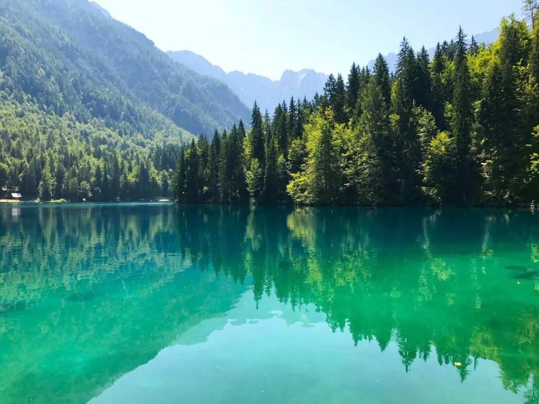 Turquoise alpine lake reflecting dense green forest and mountains under a clear sky, Lacs de Fusine.