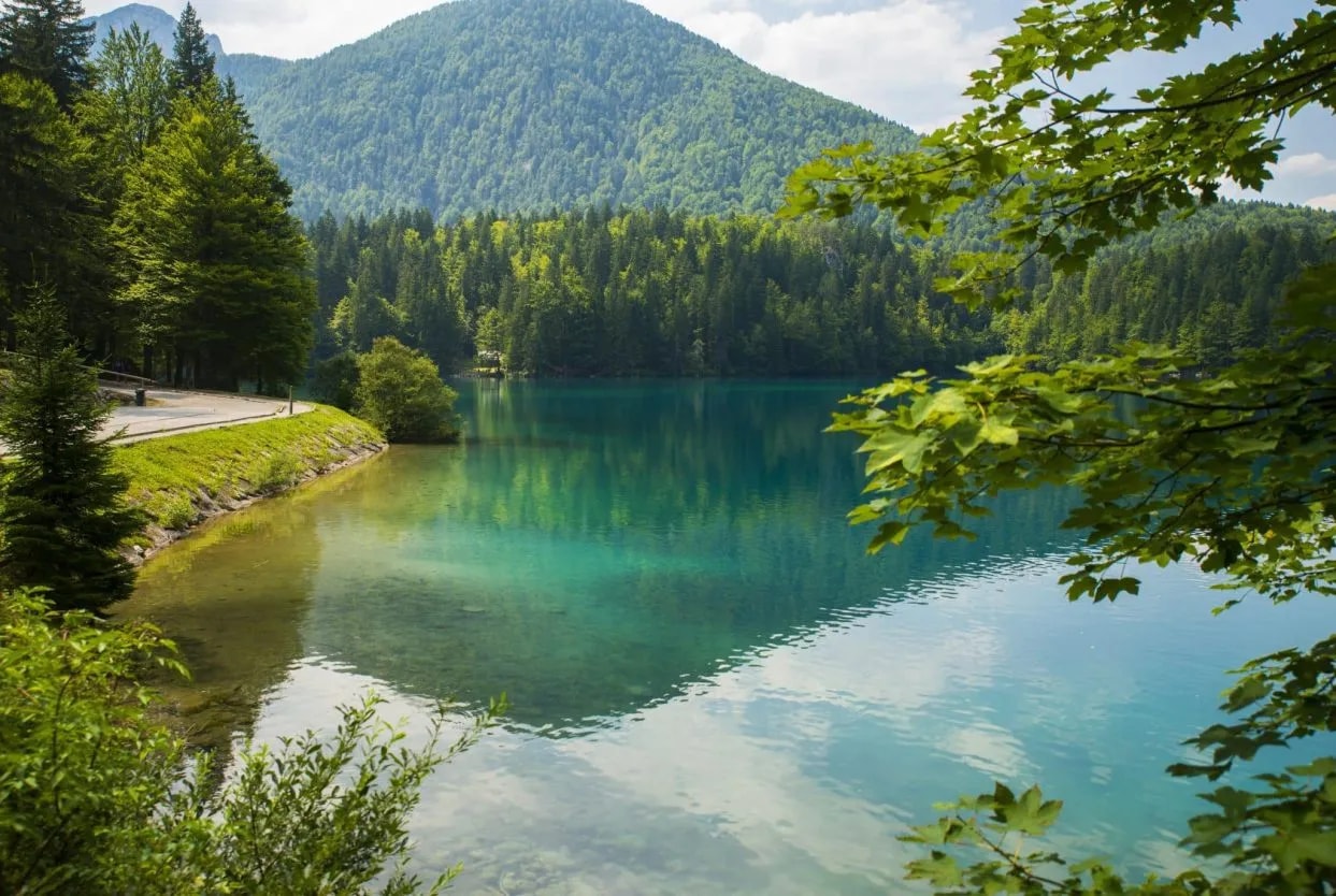 Turquoise mountain lake reflecting dense green forest, viewed through foreground leaves.