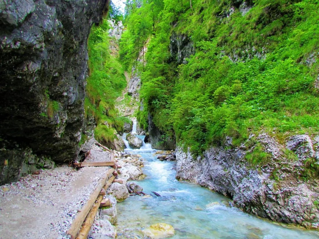 Hiking path beside turquoise river flowing through a lush green gorge in Martuljek, Slovenia.