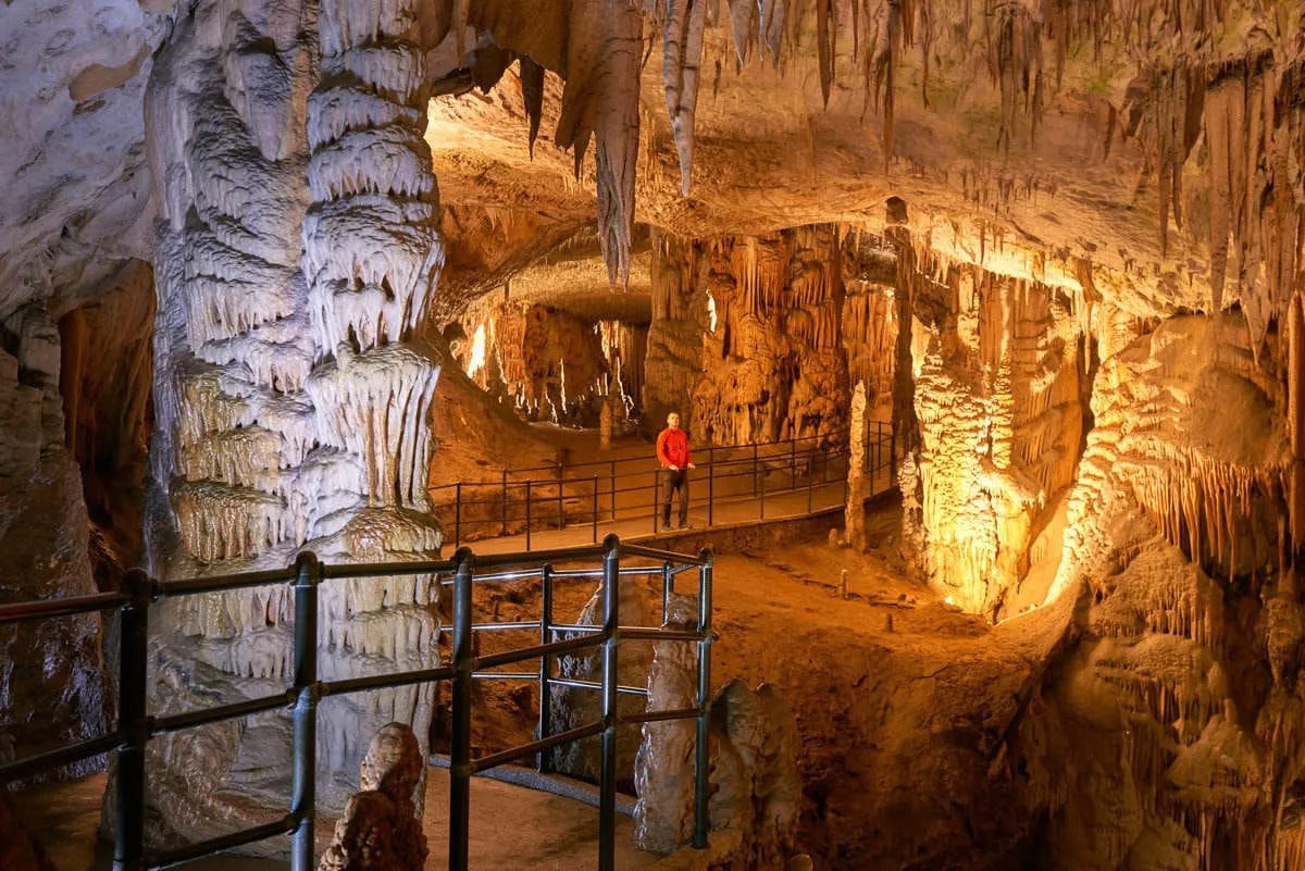 Visitor walking on pathway inside Postojna Cave among illuminated stalactites and columns.