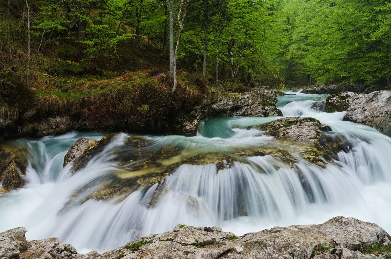 Fast-flowing turquoise river cascades over rocks surrounded by lush green forest at Mostnica Gorge.