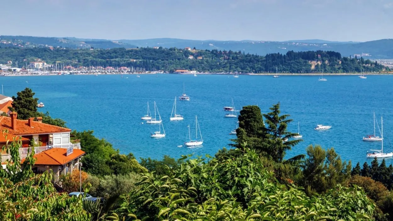 Sailboats anchored in blue coastal waters near Portorož with lush green hillside and terracotta roofs.