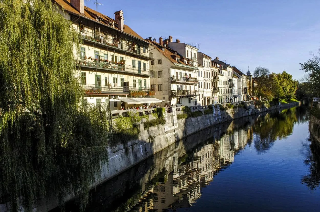 Riverfront buildings reflected in the water, with a large weeping willow in Ljubljana.