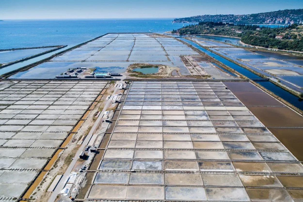 Aerial view of Secovlje salt pans near the Adriatic Sea coastline and town.
