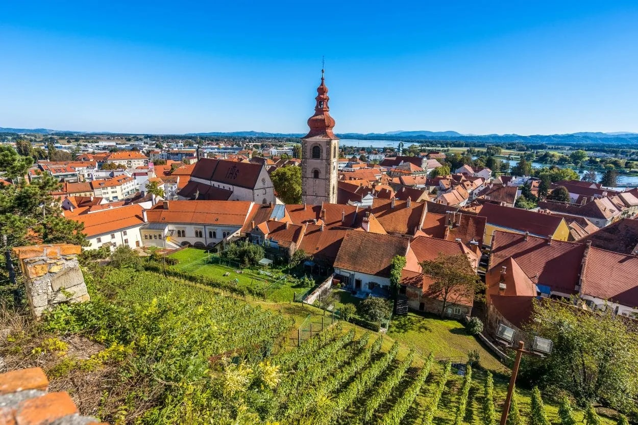 View of Ptuj town with terracotta roofs, church tower, and vineyards under a clear blue sky.