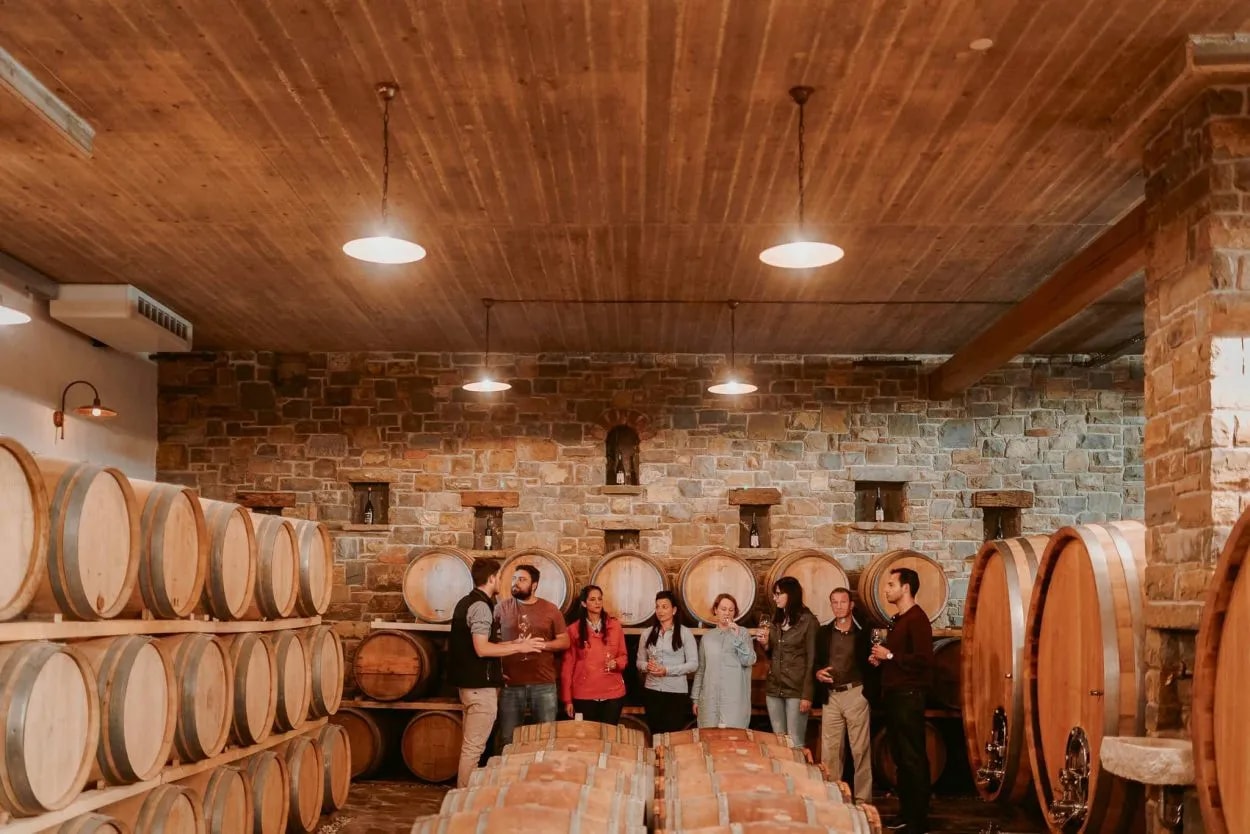 Wine tasting group inside a cellar with stacked wooden barrels and stone walls, Goriska Brda.