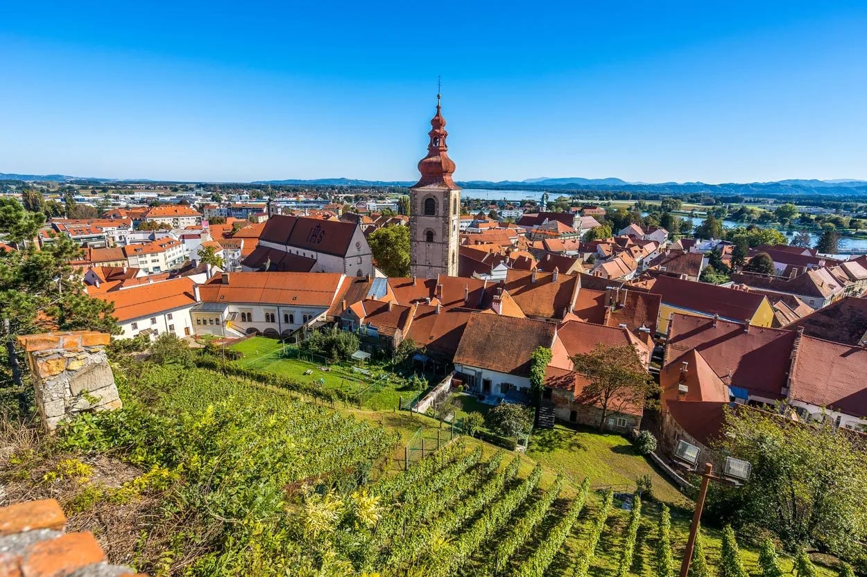 Townscape with red tile roofs, church tower, and vineyard in the foreground under a clear blue sky.