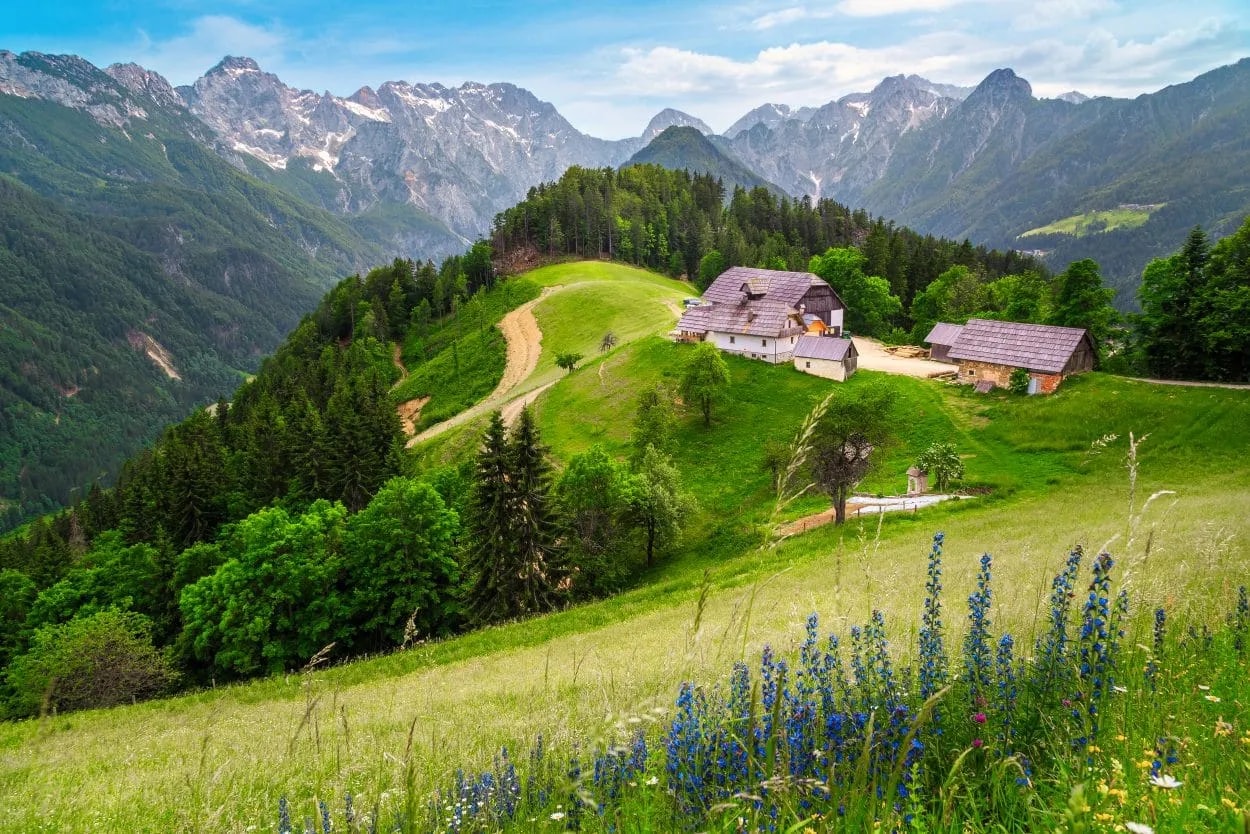 Farm buildings on a green hillside overlooking snowy mountains in the Logar Valley.