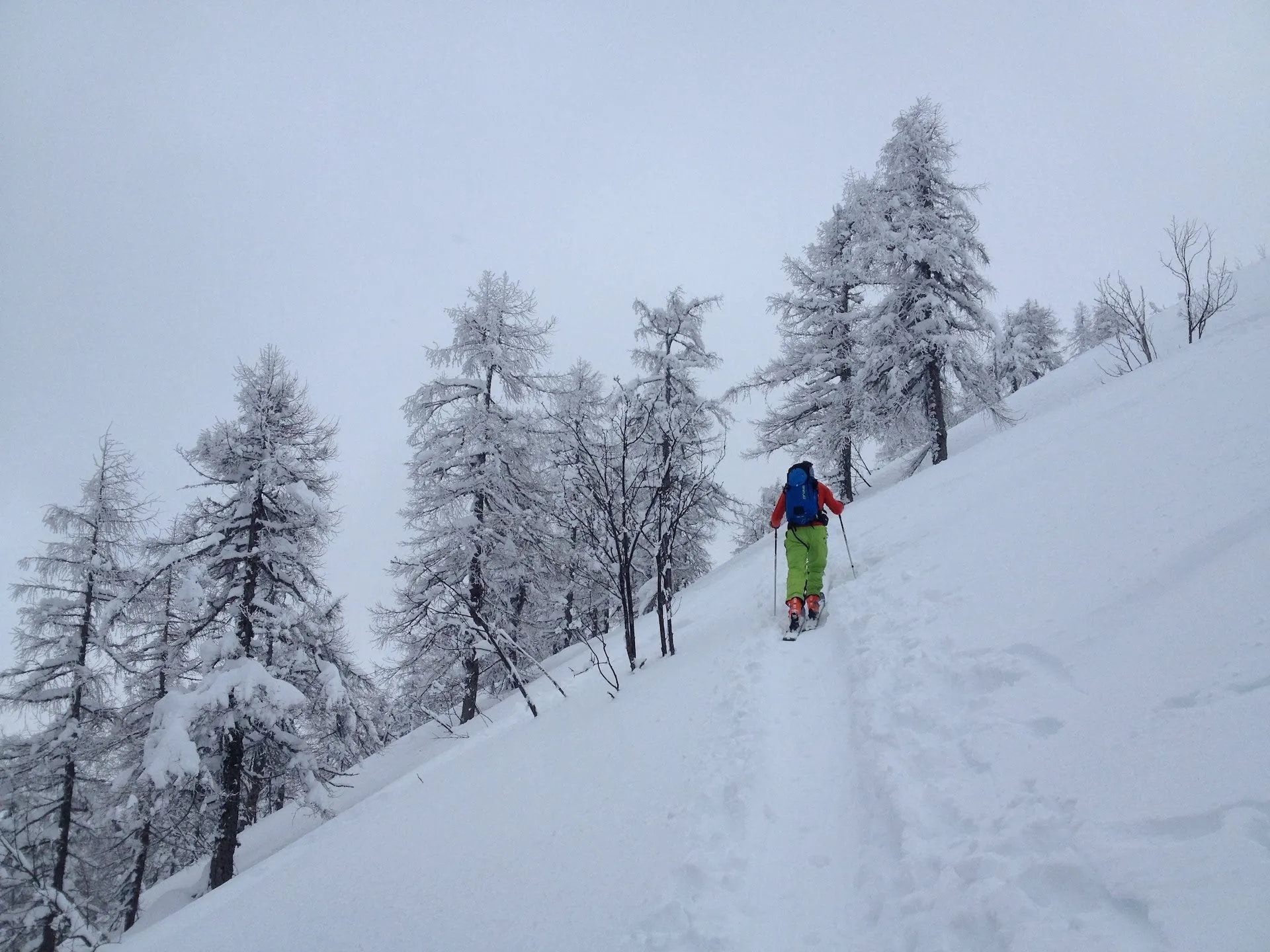 Ski touring uphill through deep snow past snow-covered trees on Visevnik mountain.