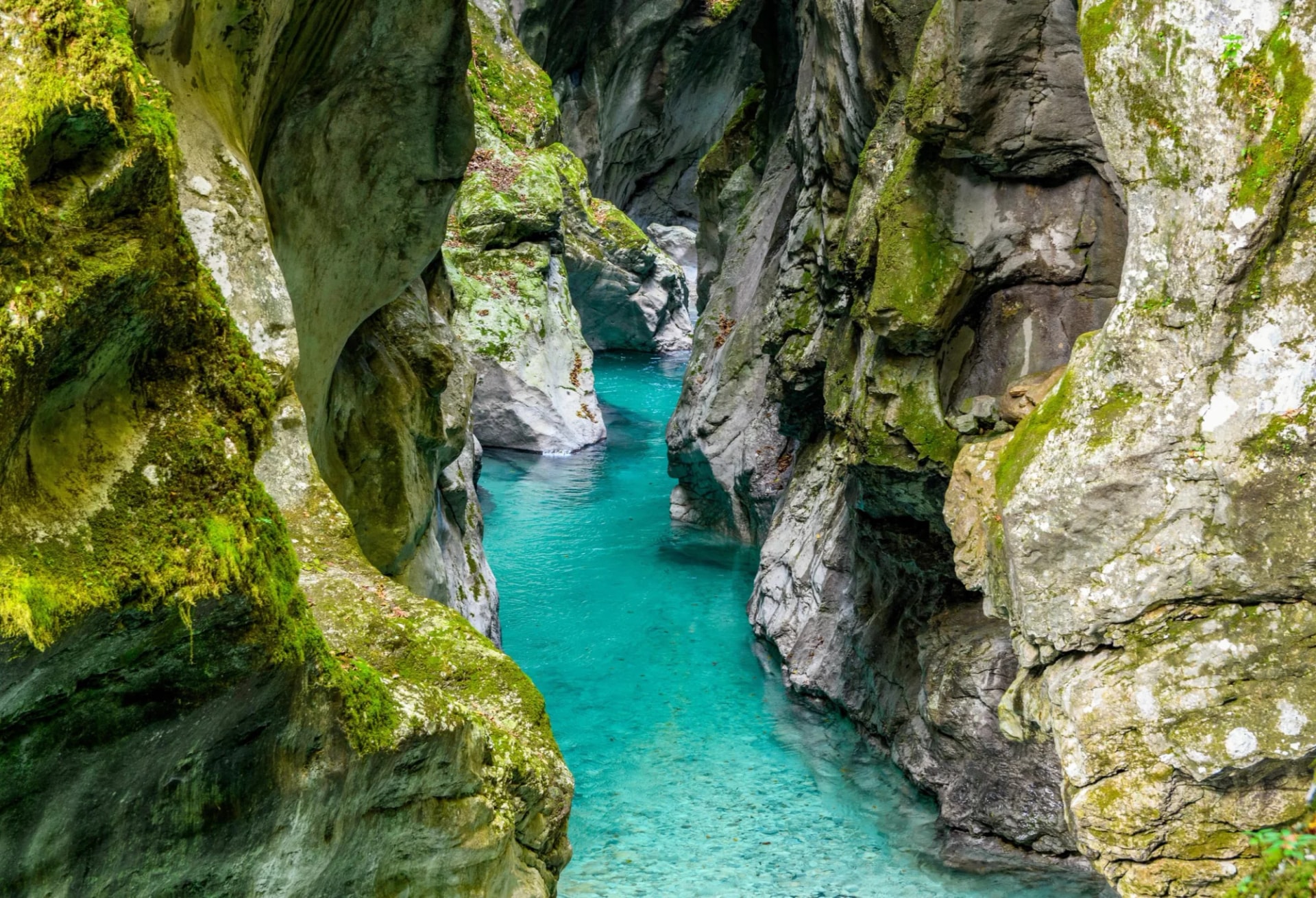 Turquoise stream flowing through moss-covered rocky Tolmin Gorge in Slovenia.
