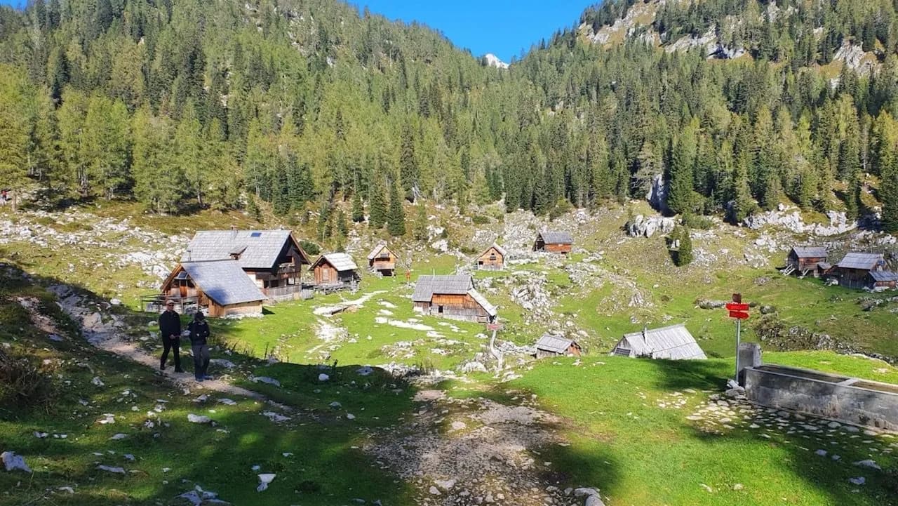 Alpine meadow with wooden huts, hikers, and dense forest on the mountainside in Dedno Polje.