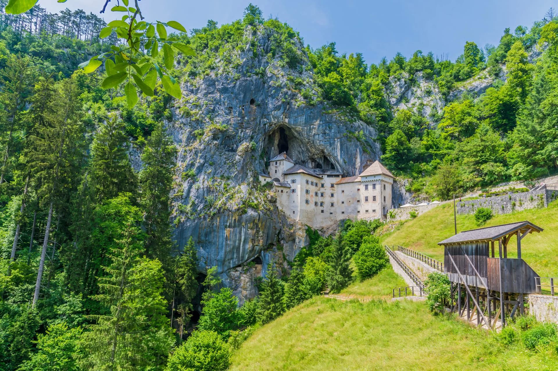 Predjama Castle built into a cliff face surrounded by lush green forest under a blue sky.