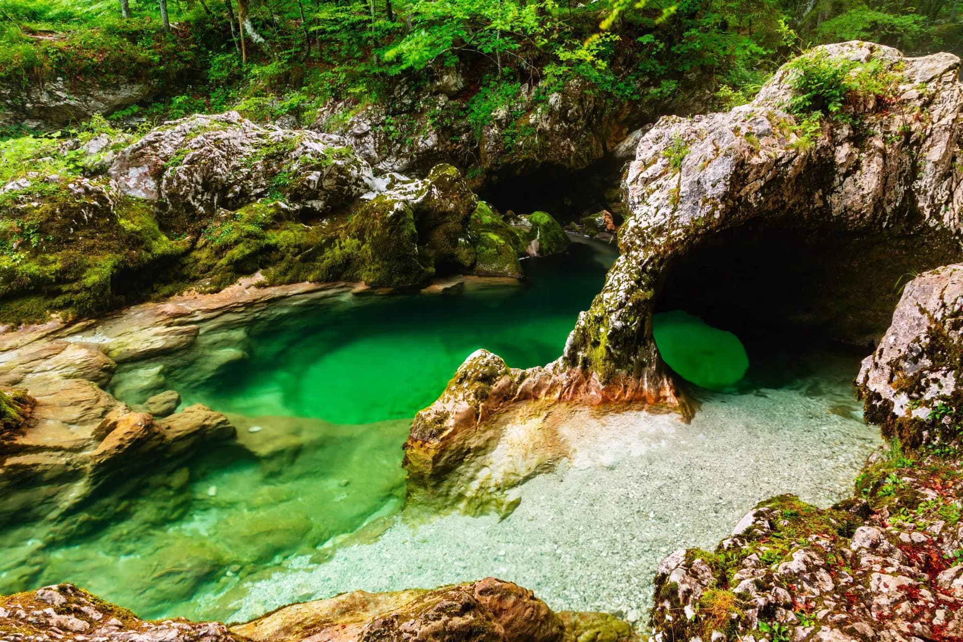 Emerald green river pool surrounded by mossy rocks and dense forest foliage