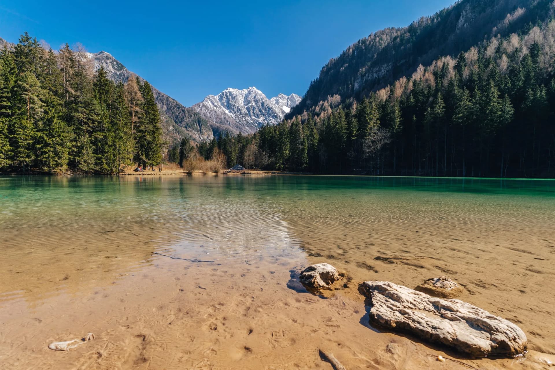 Pristine turquoise water of an alpine lake with snow-capped mountains and pine forests.