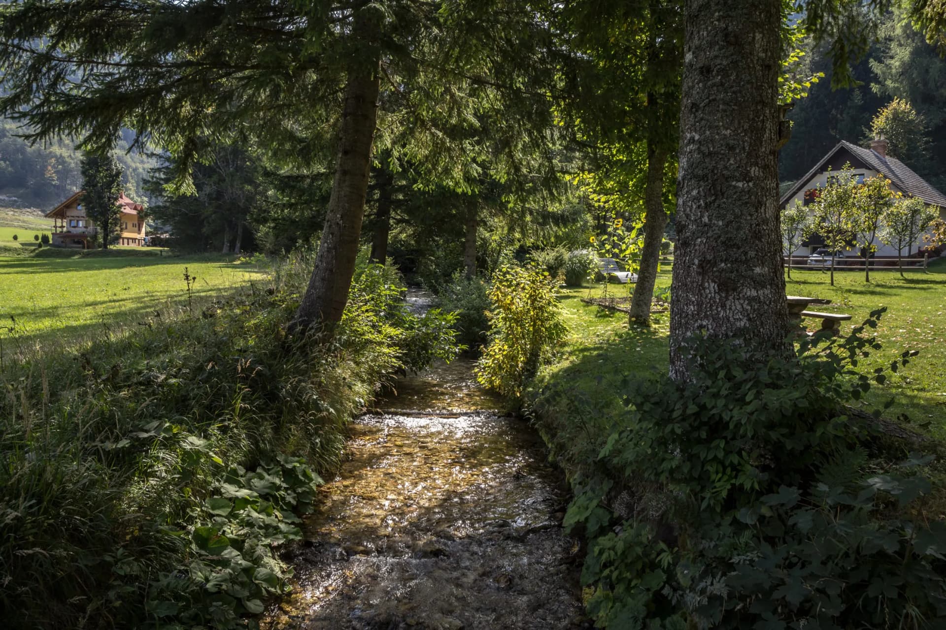 Alpine river flowing through woods near houses in Zgornje Jezersko.