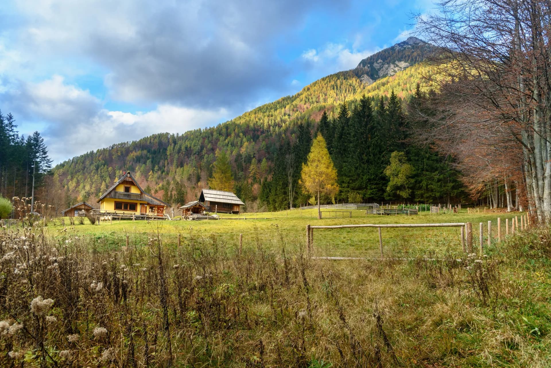 View of yellow alpine houses in Zgornje Jezersko, Slovenia, with autumn forest and mountain.
