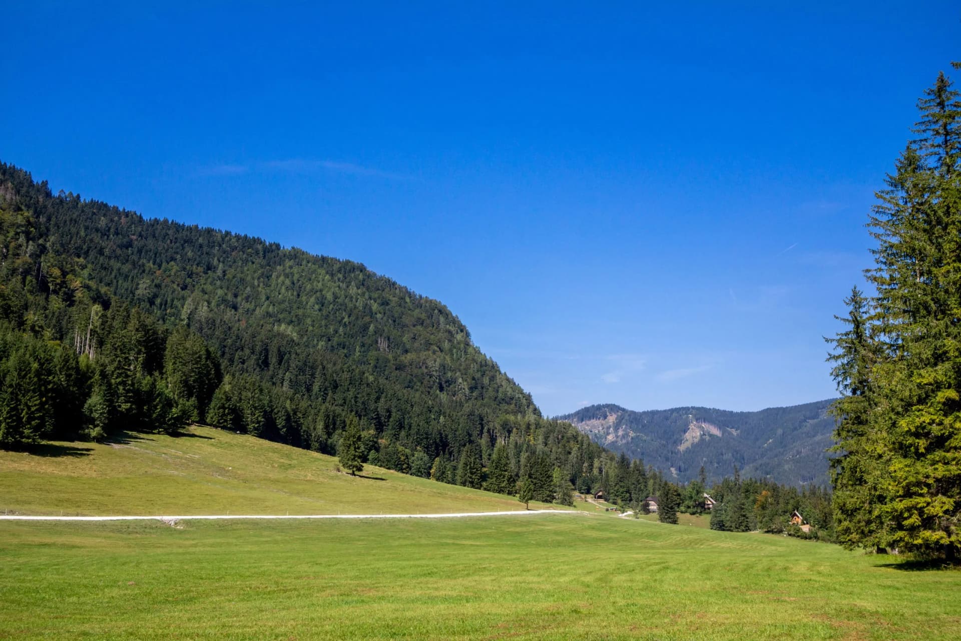 Clearing field with dirt road bordered by dense pine forest and mountains in Zgornje Jezersko.