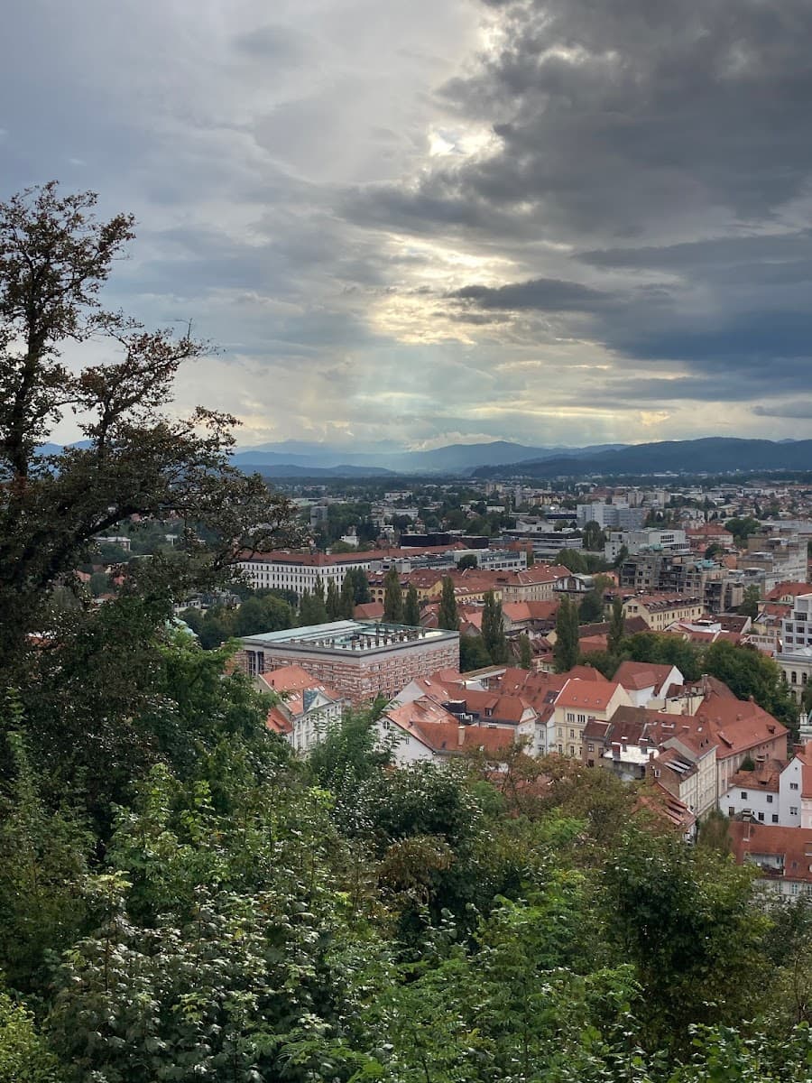 Cityscape with red-roofed buildings viewed over green trees under a dramatic, cloudy sky.