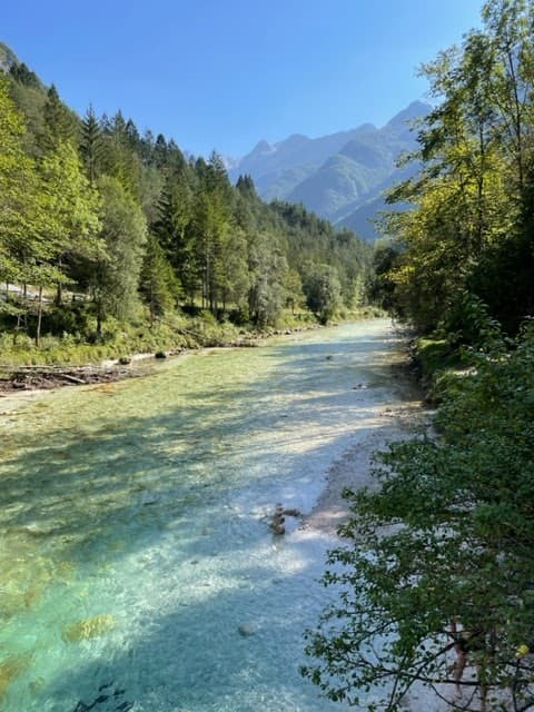 Clear turquoise river flowing through a forested valley with tall mountains in the background