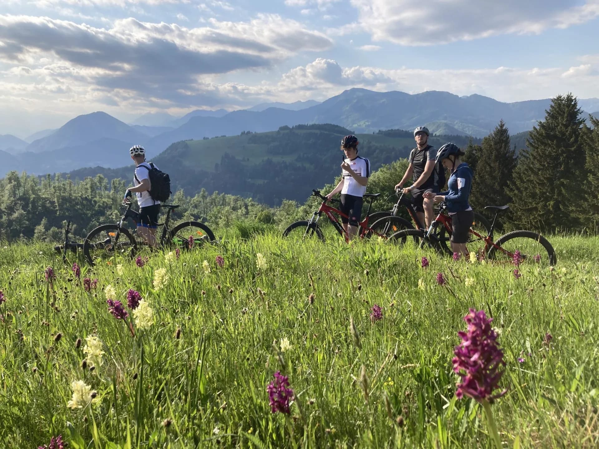 Mountain bikers resting in a meadow with wildflowers overlooking green hills of Škofja Loka.