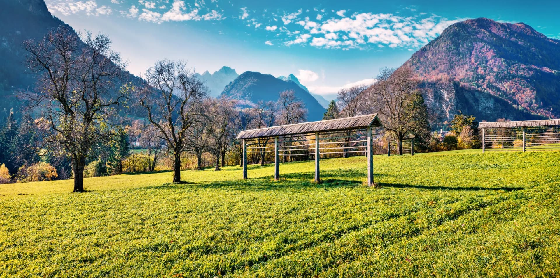 Green meadow with traditional wooden hayracks in Slovenia against backdrop of mountains.