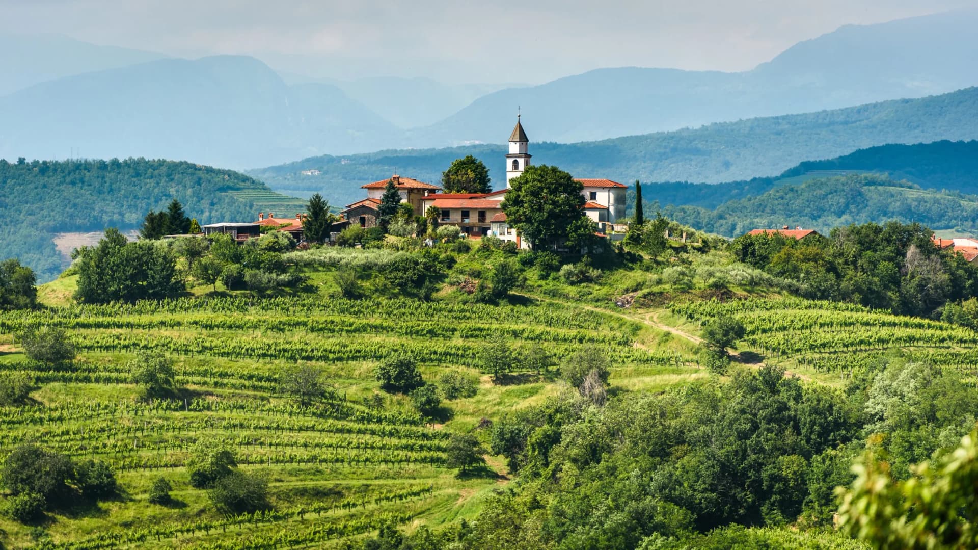Village with church tower atop terraced green vineyards against hazy blue mountains