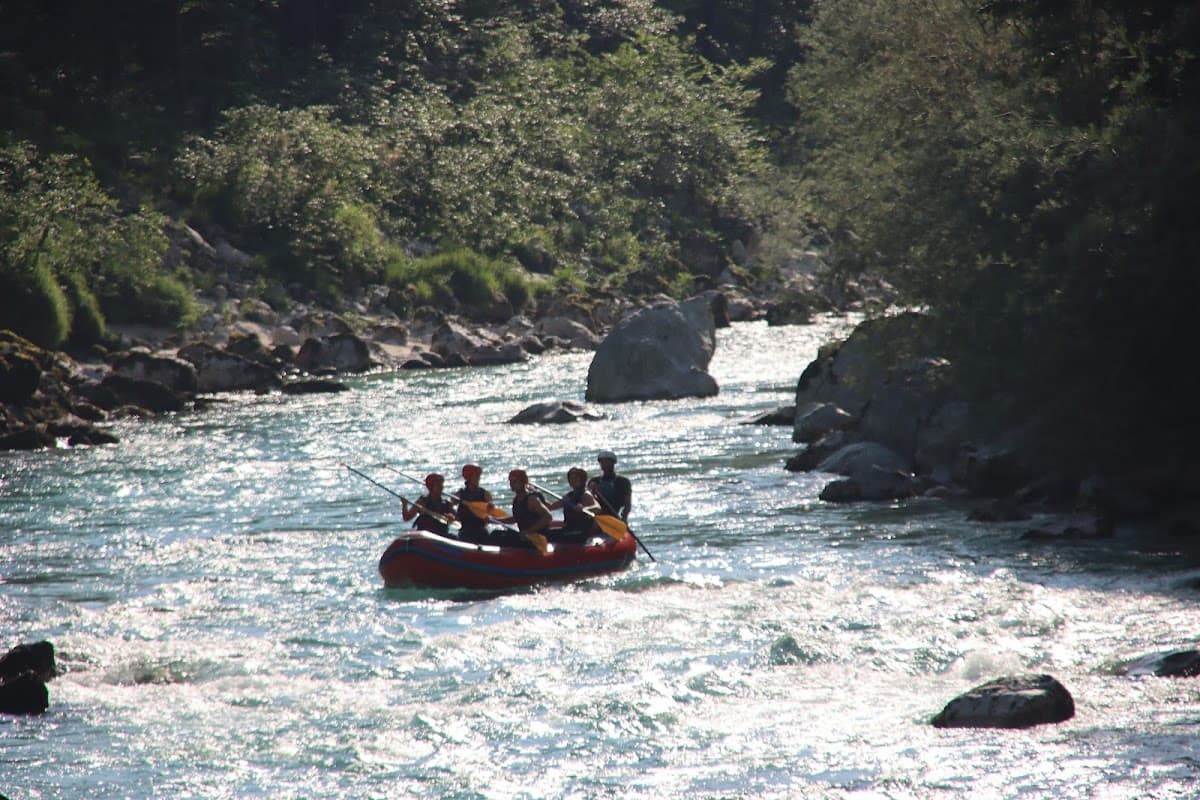 Whitewater rafting group navigating rapids on a sunlit, rocky river surrounded by dense green foliage.
