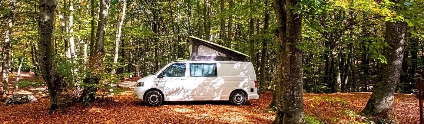White camper van with pop-up roof parked in a forest with autumn leaves on the ground.