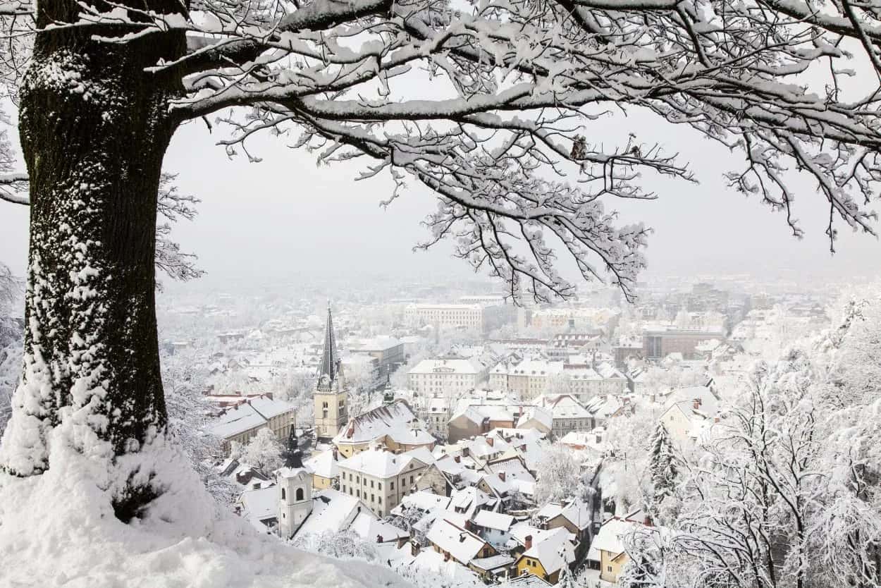Ljubljana city rooftops covered in snow viewed from above in winter, framed by tree branches.