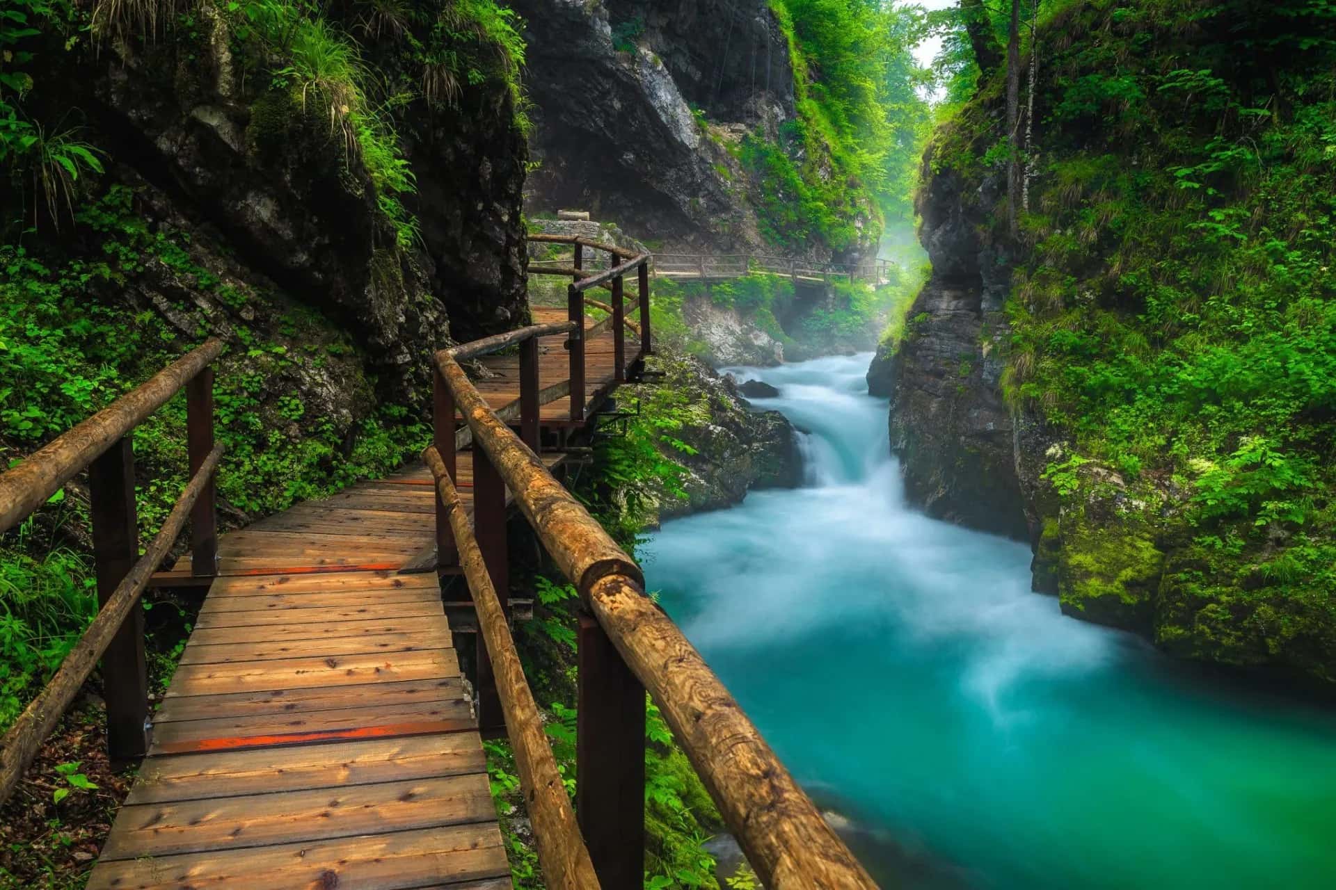Wooden boardwalk alongside turquoise river rapids in a lush green gorge