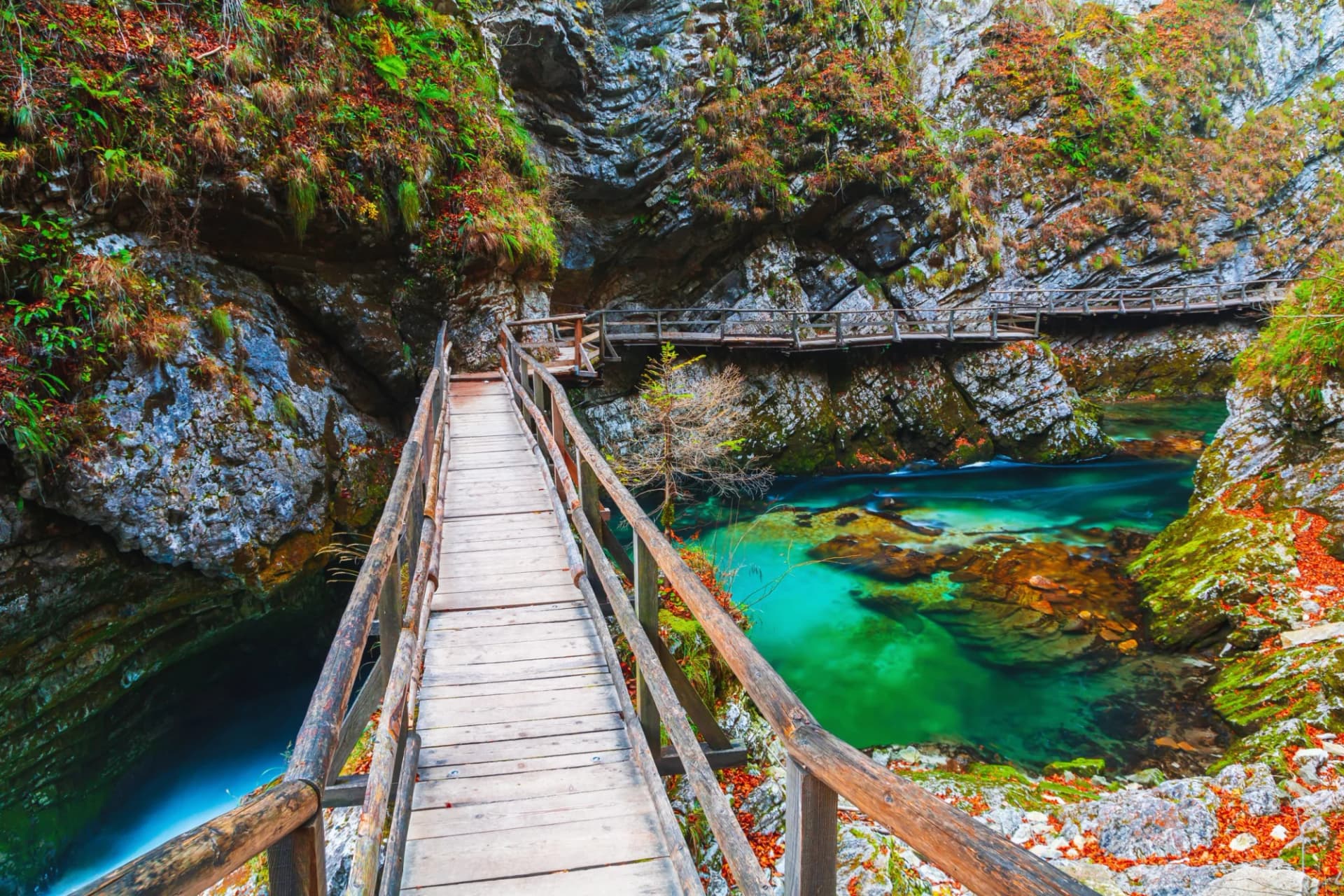 Wooden path through Vintgar Gorge canyon with turquoise water and autumn colors near Bled Lake.