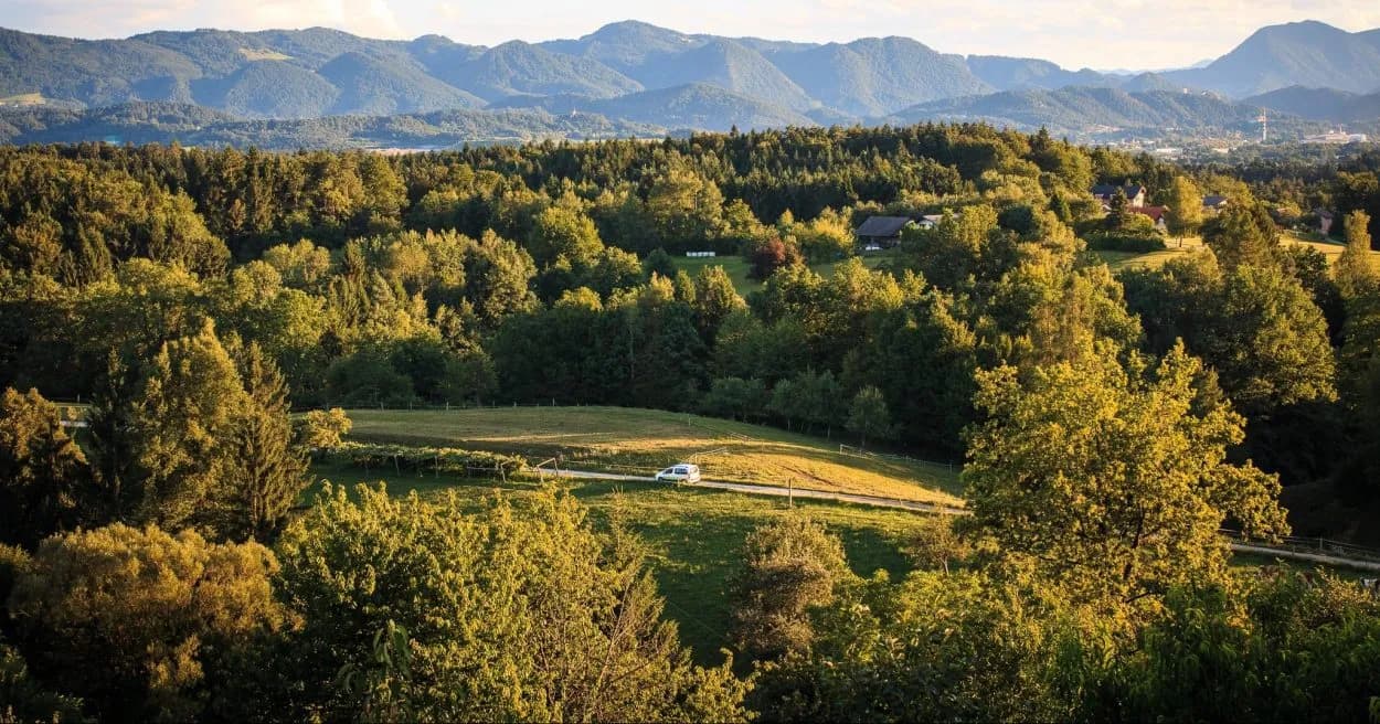 White van driving on dirt road through sunlit green hills with forested slopes and mountains.