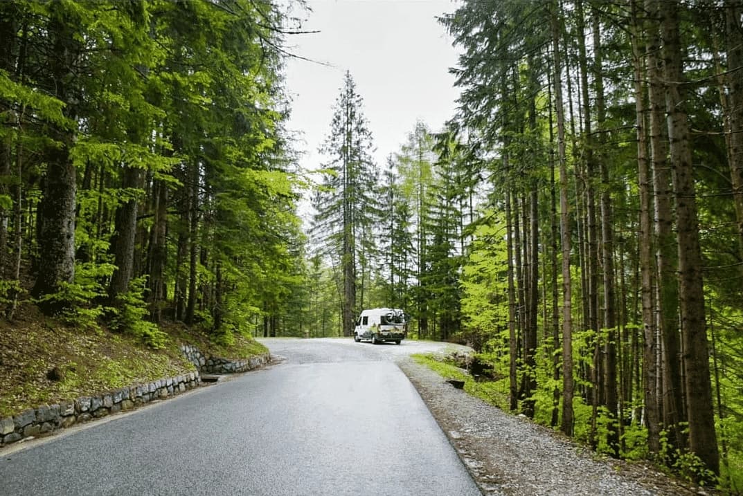 Camper van driving on paved road through dense forest with tall green pine trees.