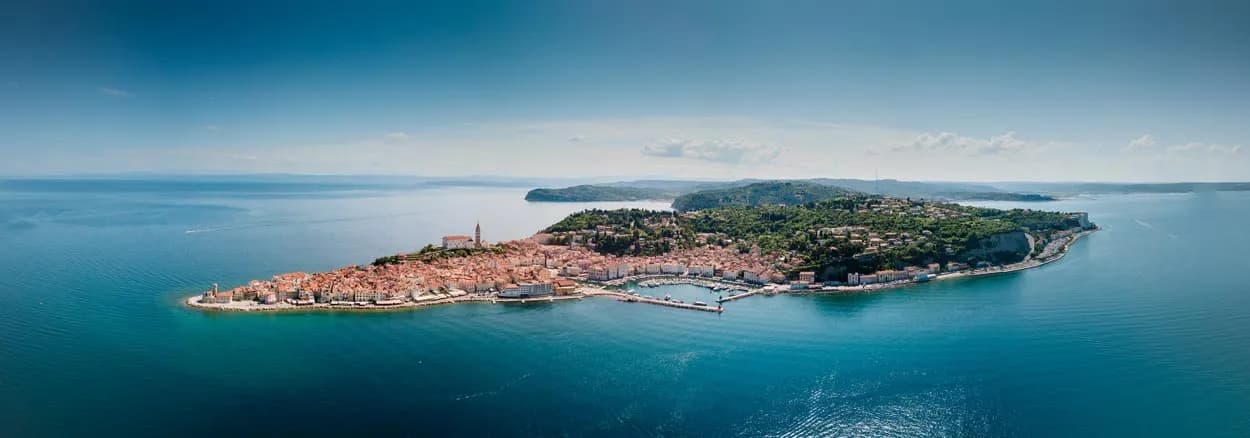 Aerial view of Piran peninsula town with terracotta roofs surrounded by bright blue Adriatic Sea water.