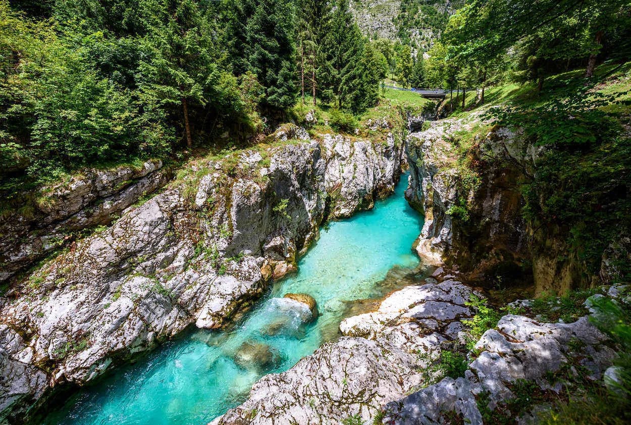 Turquoise river flowing through a rocky canyon surrounded by dense green forest, bridge visible above.