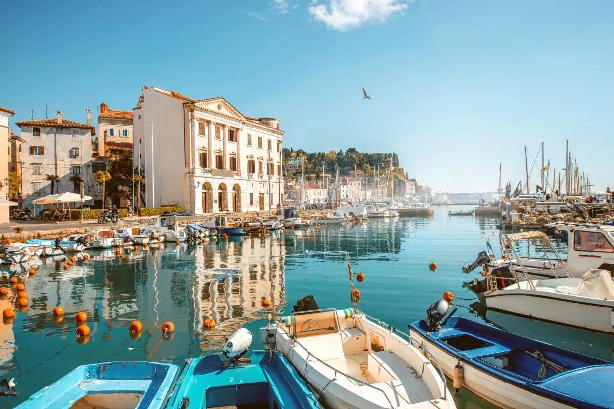 Boats docked in Piran marina with historic buildings reflecting on calm blue water