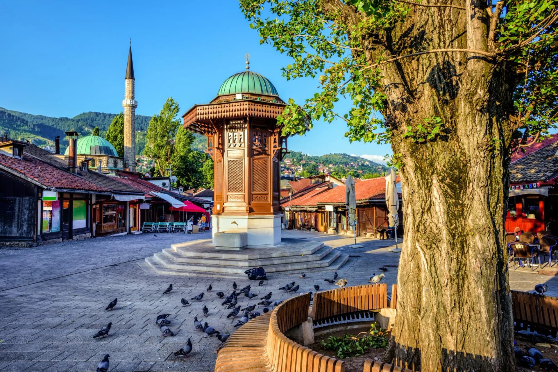 Sebilj fountain in Sarajevo old town square with pigeons and a large tree, mountains in background.